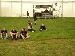 Wacken:Open:Air 2010: Fiddlers Green, Victims Of Madness, Wrestling,...