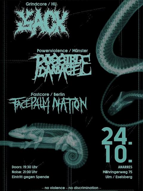 Flyer