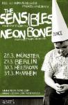 The Sensibles Bierschinken