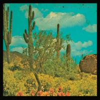 Puta Madre Brothers - It's A Long Long Way To Meximotown