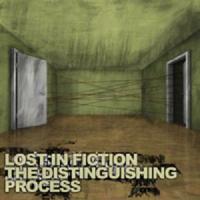 Lost in Fiction - The distinguishing process