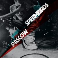 Pascow/Spermbirds - Split