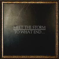 Meet The Storm - To what end...