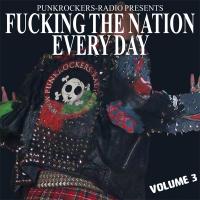 V.A. - Fucking The Nation Every Day Vol. 3