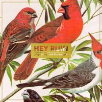 Hey Ruin - Irgendwas mit Dschungel