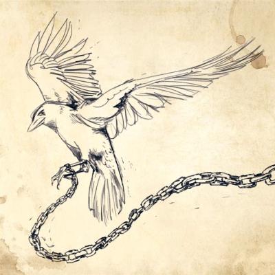 Sitka - Zugvogel