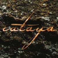 Cataya - Sukzession