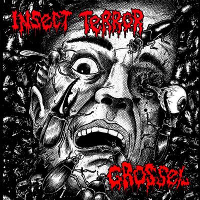 Grossel, Insect Terror - Restless Blast Syndrome One Sided Hell!