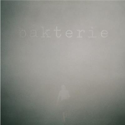 Bakterie - bakterie