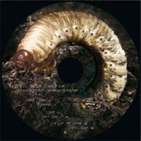 Bugfryer - Cock Chafer Grub