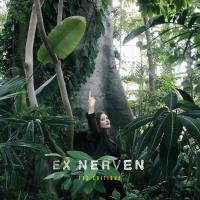 Ex Nerven - The Critique
