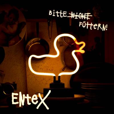 EnteX - Bitte ̶n̶̶i̶̶c̶̶h̶̶t̶ füttern!