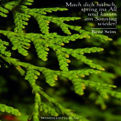 René Seim - Mach dich hübsch, spring ins All und komm am Sonntag wieder