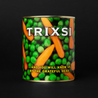 Trixsi - …And You Will Know Us By The Grateful Dead
